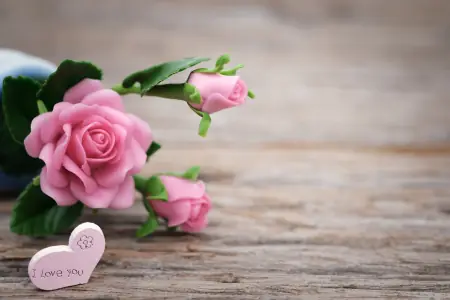 感恩妈妈的话简短精辟（精选13句）（感恩妈妈的话语 简短）